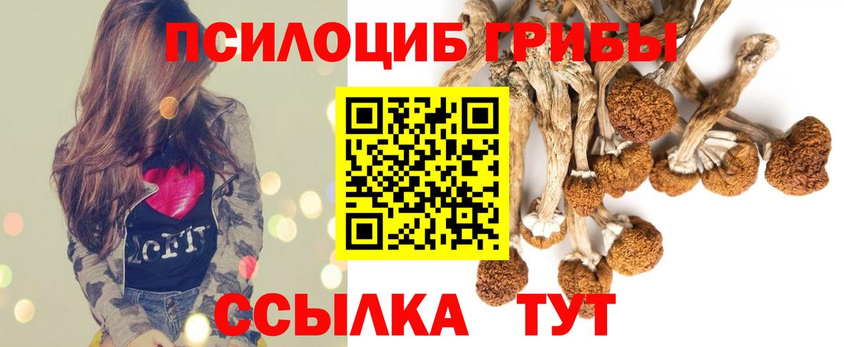 Псилоцибиновые грибы мицелий  Вход с VPN  Волхов 