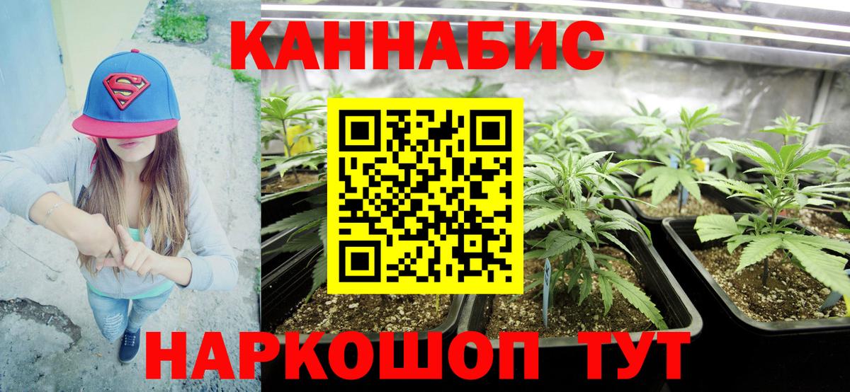 Конопля конопля  Вход с VPN  Волхов  Канабис Bruce Banner  МАРИХУАНА THC 21% 